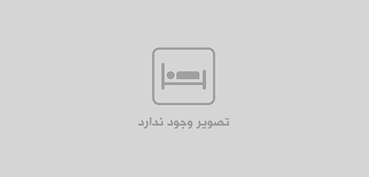 نرم افزار خزانه-تحت وب-وصول-واخواست-صدور فرم وصول-واخواست جديد-انتخاب اقلام وصول-واخواست-روز نت
